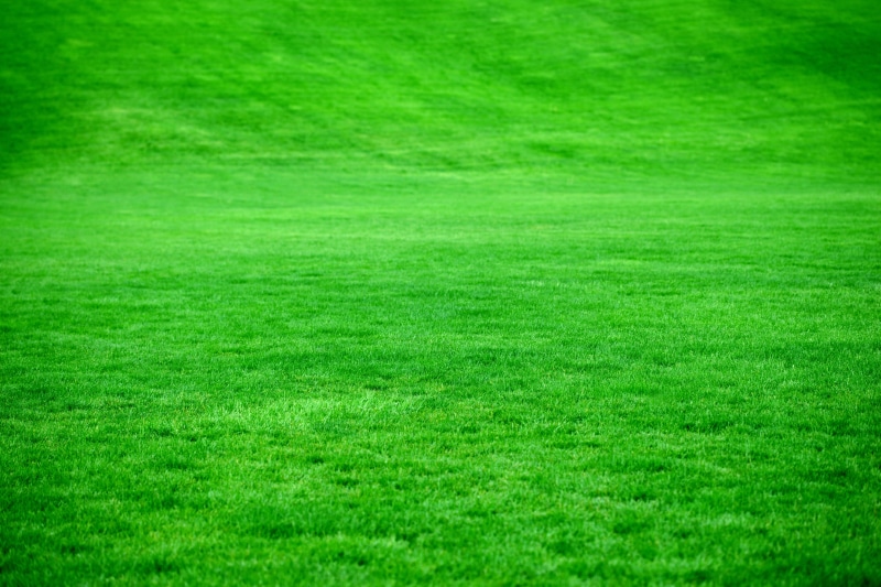 bright, plant, scenics - nature, abstract, pattern, copy space, outdoors, landscape, clean, lawn, front or Back Yard, textured, golf course, environment