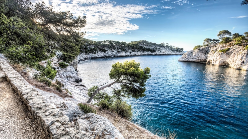 shore, tree, land, solid, day, tranquil scene, no people, tranquility, nature, mediterranean, sea, non-urban scene, summertime, rock, sky, beauty in nature