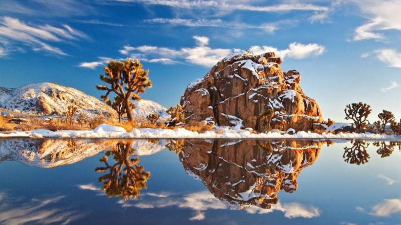 cloud - sky, environment, water, tranquility, beauty in nature, joshua, day, landscape, scenics - nature, reflection, nature, land, tree, 1080P, blue