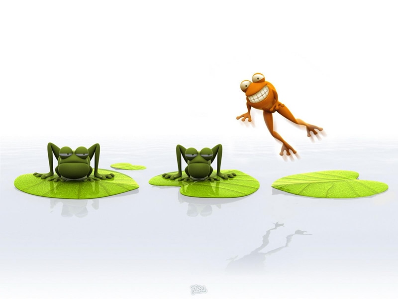 3d funny, 3d, d, funny, animals, 720P, cartoon