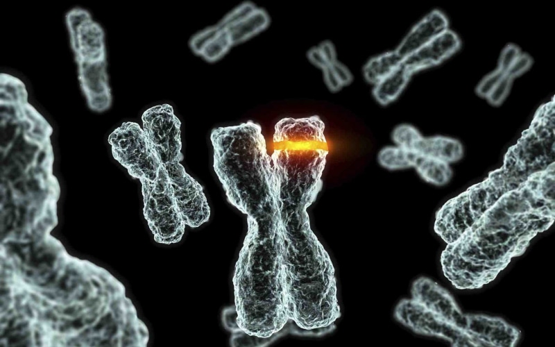 genetic, chromosome, 3 d, 1080P, pattern, psychedelic, dna