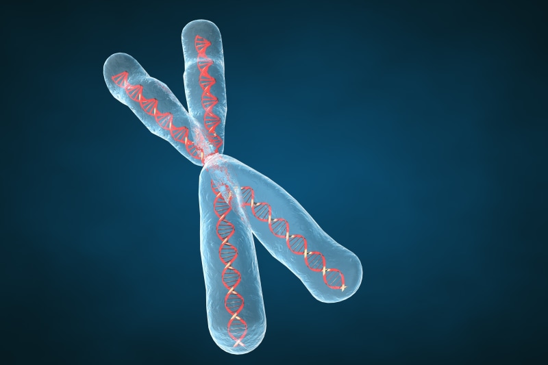 chromosome, psychedelic, 3 d, pattern, dna, genetic, 4K