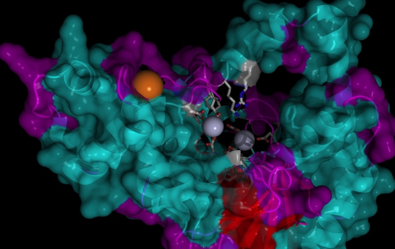psychedelic, 3 d, dna, molecule, pattern, genetic, 1080P, structure, abstraction
