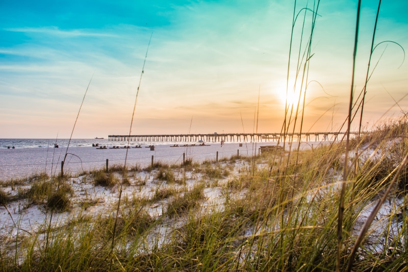 sea, power supply, plant, scenics - nature, growth, sunset, land, cloud - sky, pcb, horizon, board walk, sky, nature, outdoors, panama city beach, tranquil scene