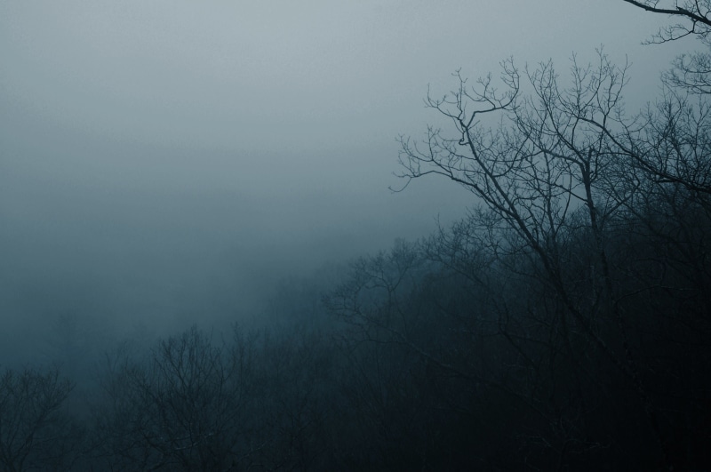 land, idyllic, blue, sky, gray, foggy, forest, mist, no people, storm, nature, bare tree, hazy, low angle view, plant, tranquil scene, non-urban scene