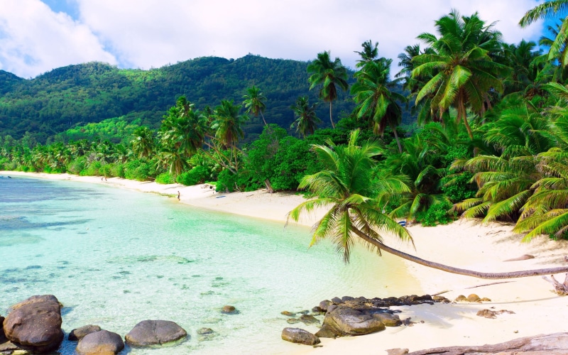seascape, mahe Island, sand, mountain, cloud - Sky, coconut, coconut Palm Tree, asia, equator, person, palm Tree, tree, land, relaxation, waters Edge, tranquility
