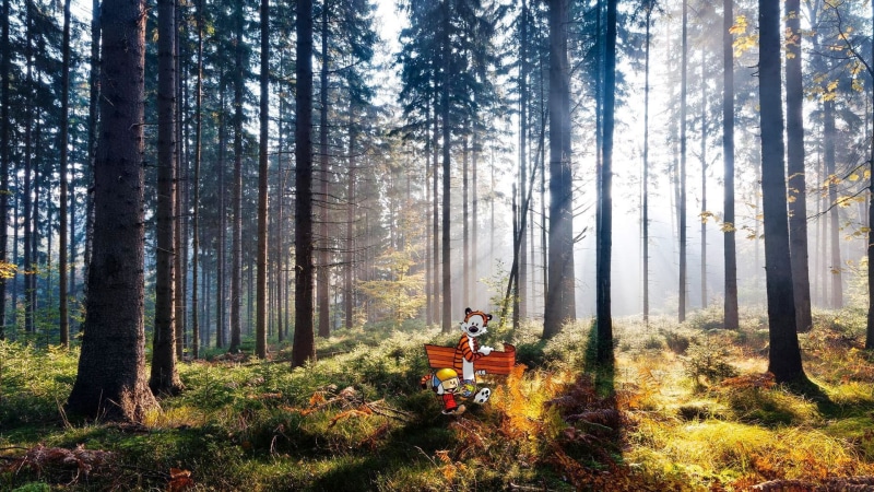 adult, day, beauty in nature, real people, nature, males, cartoon, land, mode of transportation, outdoors, Bill Watterson, tree, two people, leisure activity