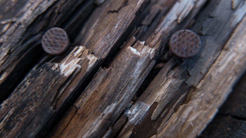 textured, nails, focus on foreground, no people, day, nail, selective focus, metal, close-up, wood, full frame, rusty, entrance, pattern, shape,  4K, old