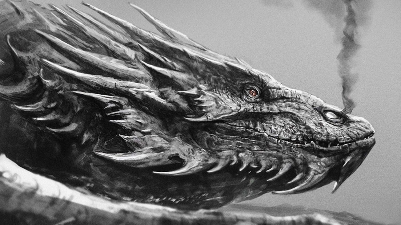 vertebrate, close-up, animal themes, dragon, animal eye, animal head, 720P, nature, focus on foreground, animal, reptile, animal body part, beak, one animal