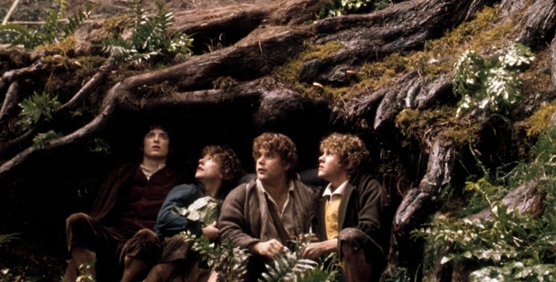 The Lord of the Rings: The Fellowship of the Ring, Sean Astin, Merry Brandybuck, Dominic Monaghan, Sam Gamgee, The Lord of the Rings, Elijah Wood, Billy Boyd