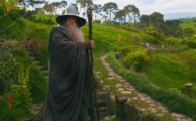 plant, women, green color, wizard, field, day, tree, land, Gandalf The Grey, nature, real people, adult, clothing, Unexpected, outdoors, Movies, 4K, landscape