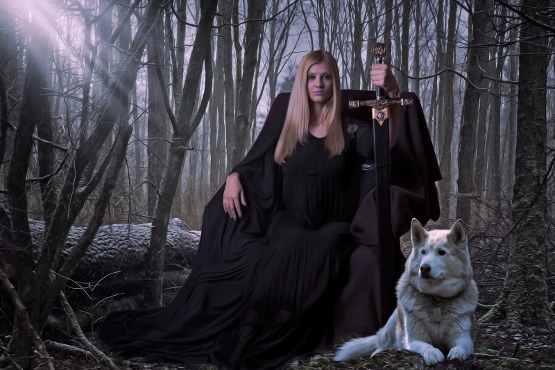 white, trees, domestic animals, leisure activity, warrior, throne, dress, young adult, fantasy, real people, plant, women, lifestyles, sword, tree, epic