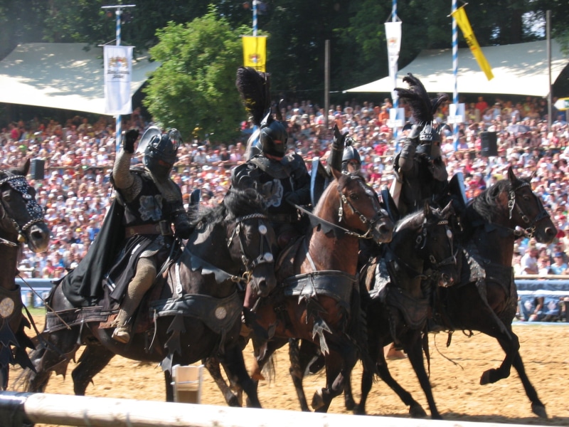 animal wildlife, spectator, outdoors, middle ages, history, livestock, vertebrate, domestic, spectacle, horse, working animal, domestic animals, real people