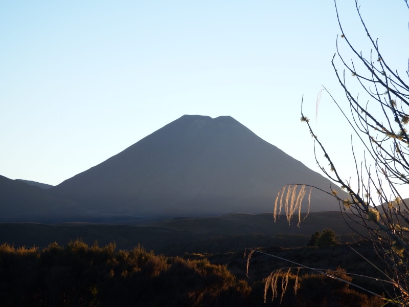 travel destinations, scenery, vegetation, mount ngauruhoe, woodland, volcano, nature, plant, no people, 4K, tree, clear sky, tongariro nationalpark, land