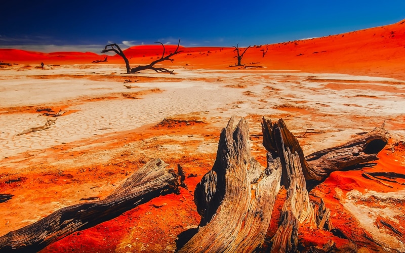 sea, hot, africa, tree, travel destinations, namibia, 1080P, mountains, dry, lava, land, climate, nature, molten, no people, tranquility, dead plant, countryside