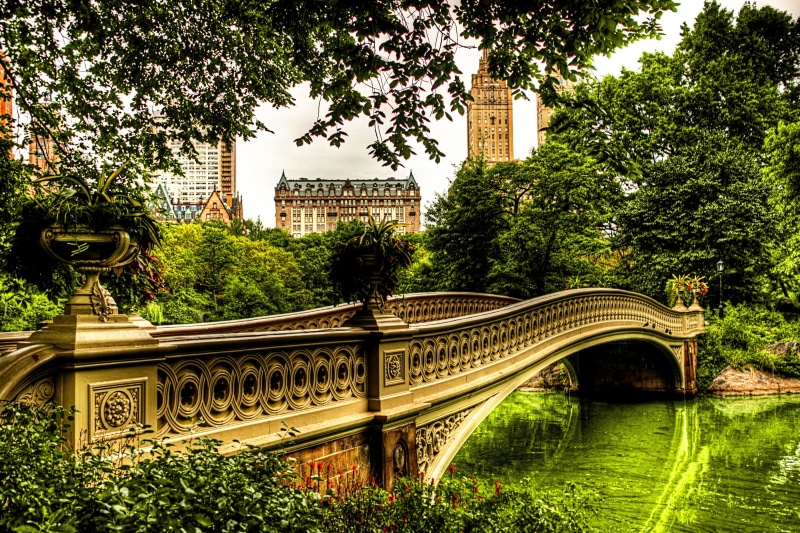 park, arch bridge, tree, nature, central Park, gold, cast Iron, travel, intricate Arabesque, urban Scene, bridge, bridge - Man Made Structure, water, day