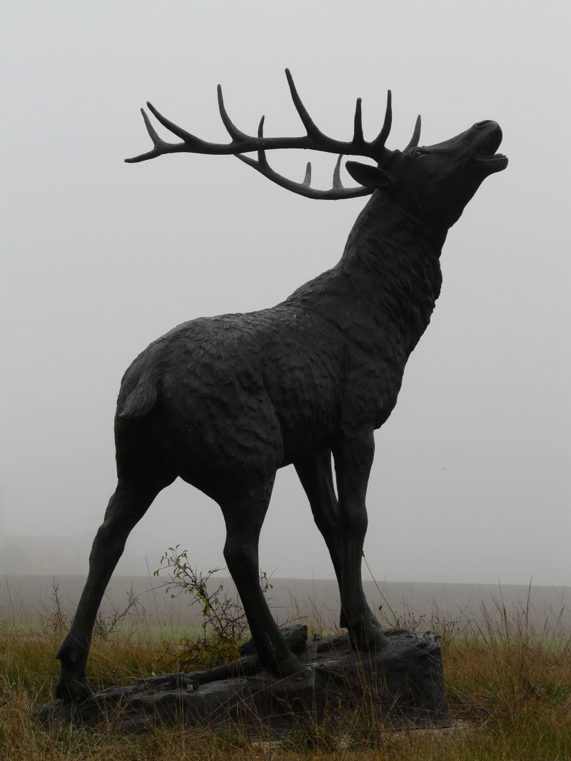 day, statue, grass, hirsch, animals in the wild, nature, no people, silhouette, one animal, standing, herbivorous, vertebrate, animal, artiodactyla, field