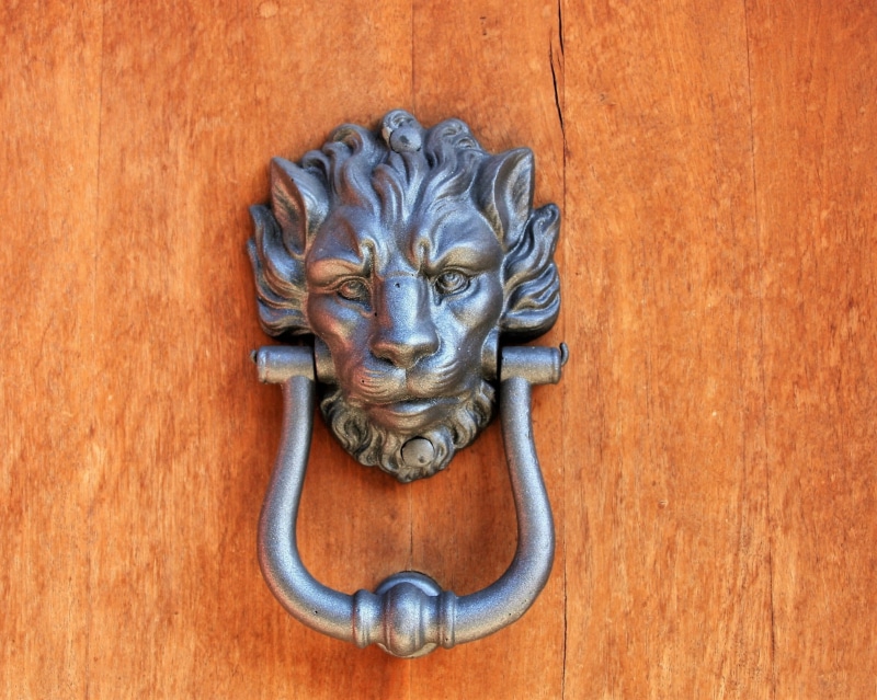creativity, pattern, finish, image, closed system, door handle, animal wildlife, invoice, no people, surface, the decor, animal representation, animal themes