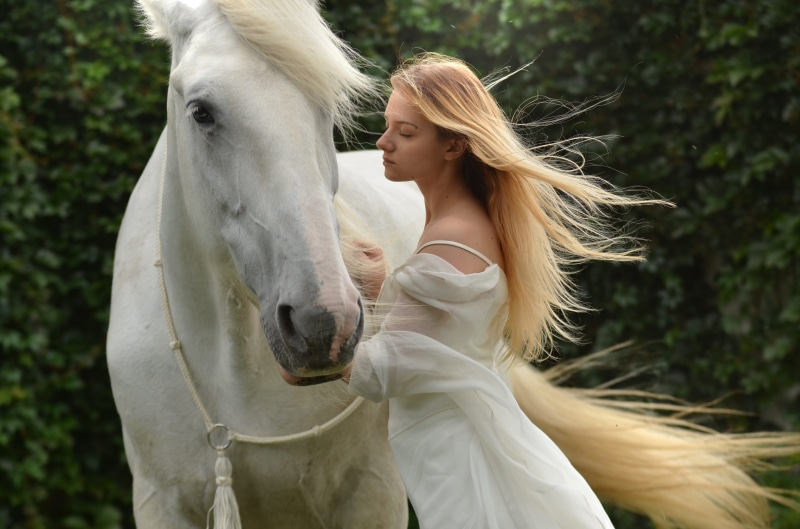 girl, outdoor, woman, one person, 4K, pets, white, blond hair, women, portrait, livestock, hairstyle, outdoors, horse, mammal, beautiful woman, dream