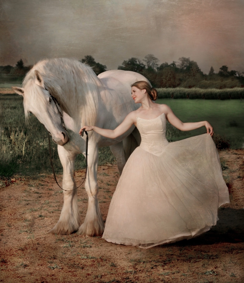 land, domestic animals, love, herbivorous, shire horse, gracefulness, field, livestock, beautiful girl, equine, summer, nature, white dress, dancing, adult