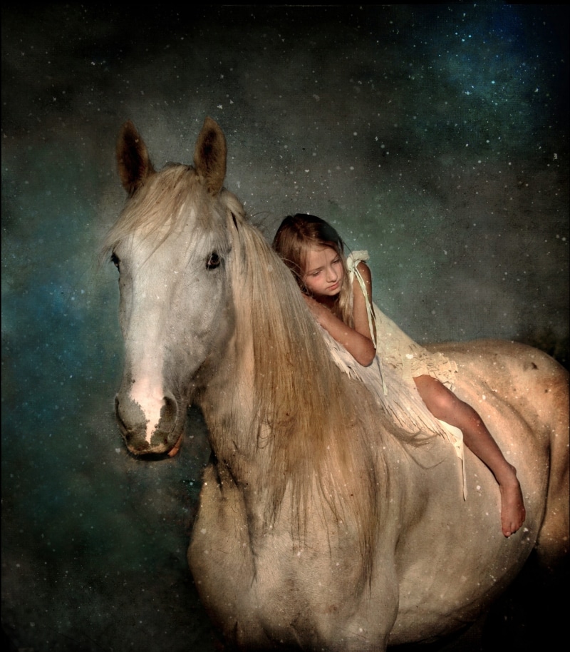 horse, snowfall, shire, herbivorous, domestic animals, dreaming, magical, magic, young women, christmas, snowflakes, girl, festive, snow, animal wildlife