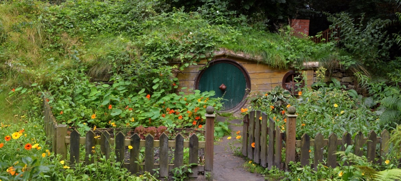 live, hobbit house, water, architecture And Buildings, garden path, growth, green Color, arch, garden, flower, no People, outdoors, wooden, shire, built structure