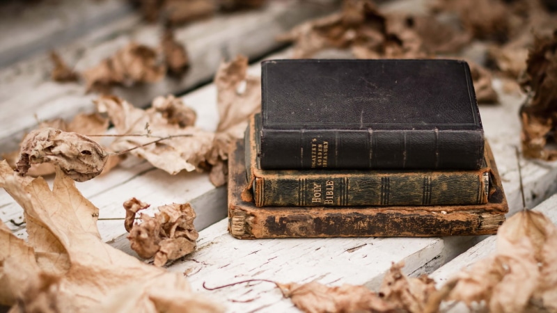 still life, book, nature, antique, three, indoors, history, books, leaf, 1080P, publication, plant part, chinese herbal medicine, background, plant, leaves