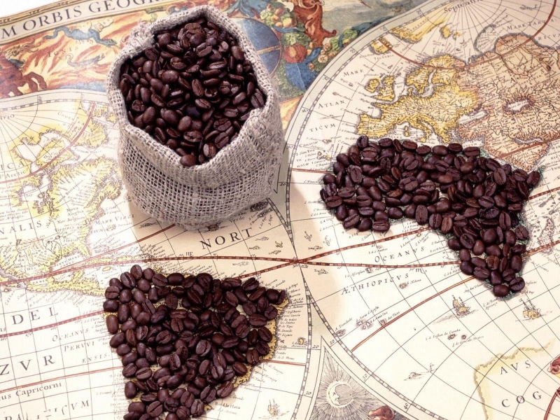 cappuccino, bean, food, floral pattern, still life, no people, brown, indoors, coffee Bean, caffeine, roasted coffee bean, directly above, high angle view