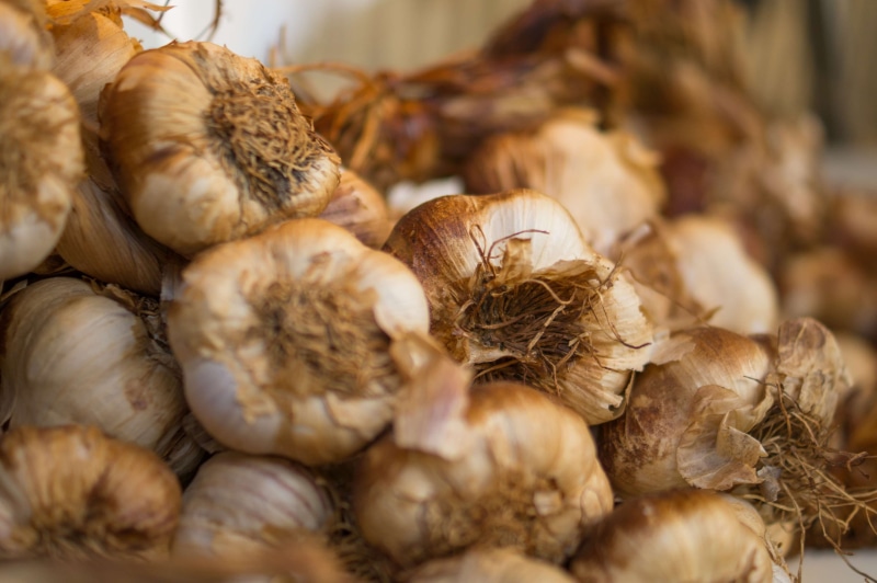 food, close-up, wellbeing, selective focus, chinese herbal medicine, abundance, cooking, no people, food and drink, retail, onions, 4K, taste, ingredient