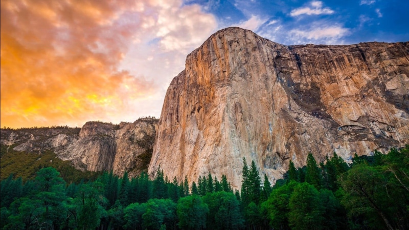 tree, travel destinations, Yosemite National Park, solid, coniferous tree, environment, land, rock, landscape, pine tree, travel, sky, outdoors, mountain range