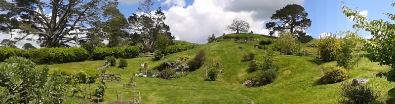 the hobbiton, plain, tree, beauty in nature, plant, green color, middle earth, panoramic, new zealand, day, animal themes, no people, outdoors, livestock