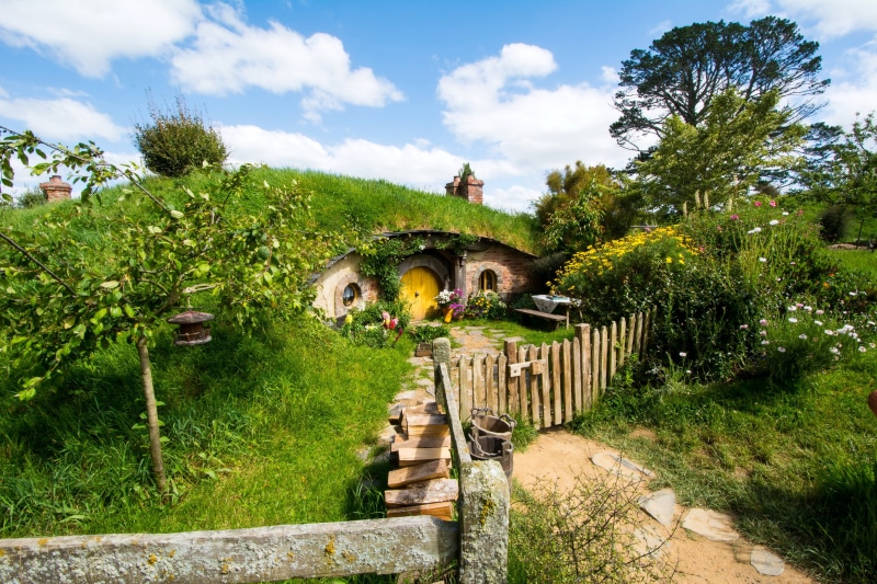 fence, parks, nature, matamata, new, 4K, shrubs, hobbiton, zealand, houses, park