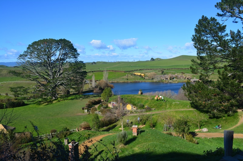 plant, the hobbit, tranquility, 5K, nature, new zealand, water, land, growth, non-urban scene, outdoors, tranquil scene, lake, landscape, tree, scenics - nature
