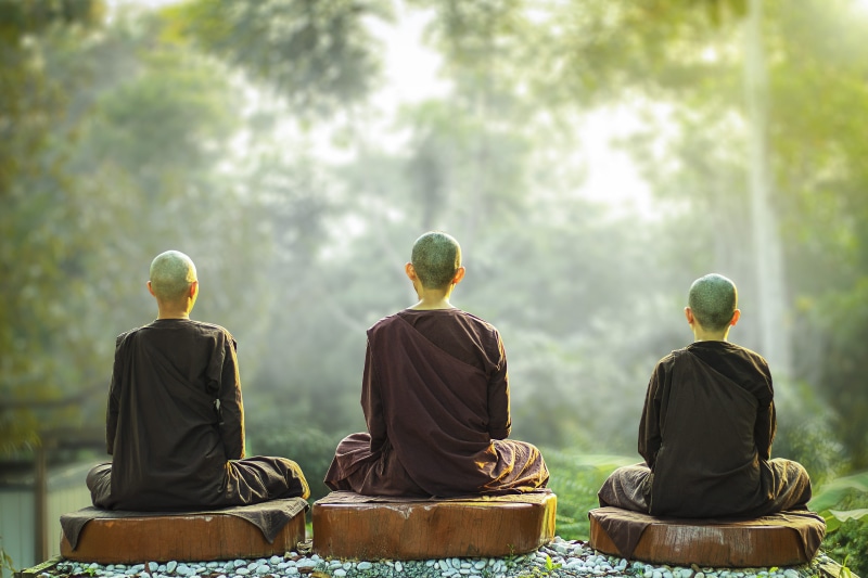 peaceful, religion, green color, buddhist, meditate, outdoors, plant, focus on foreground, sayalay, togetherness, tree, spiritual, lifestyles, people, nuns