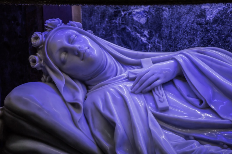 5K, animal themes, harmony, peace, beauty in nature, believe, emotion, creativity, close-up, water, death, auto post production filter, saint teresa of baby jesus