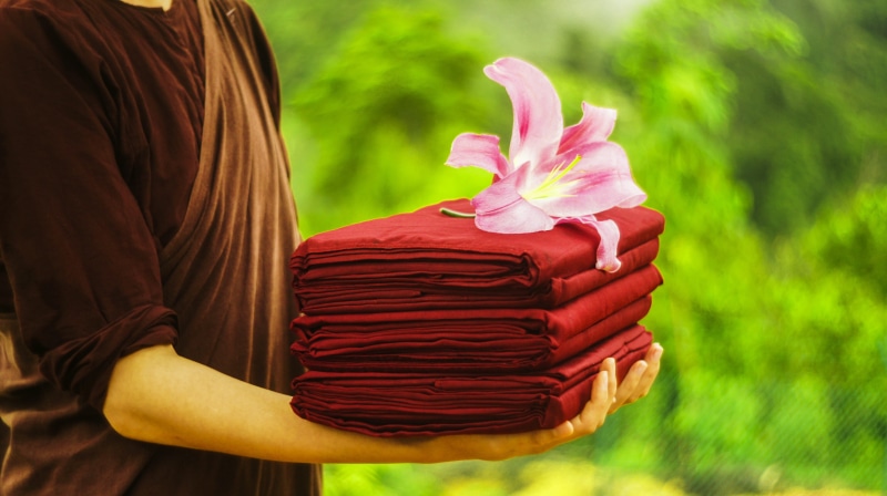 beauty in nature, focus on foreground, red color robe, human hand, pink, textiles, nature, holding, close-up, person, petal, women, flower head, religion