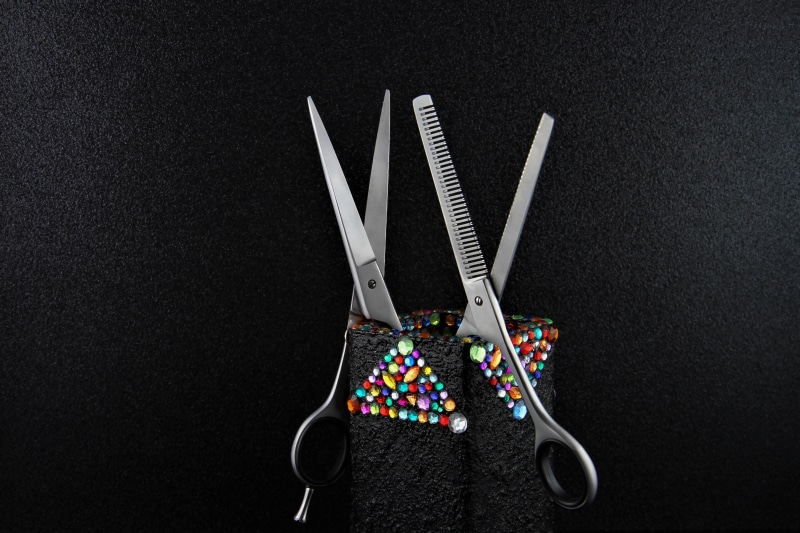 still life, salon, black background, colorful, close-up, variation, hairdresser, achievement, silver, hair scissors, gray, color, multi colored, 5K, two