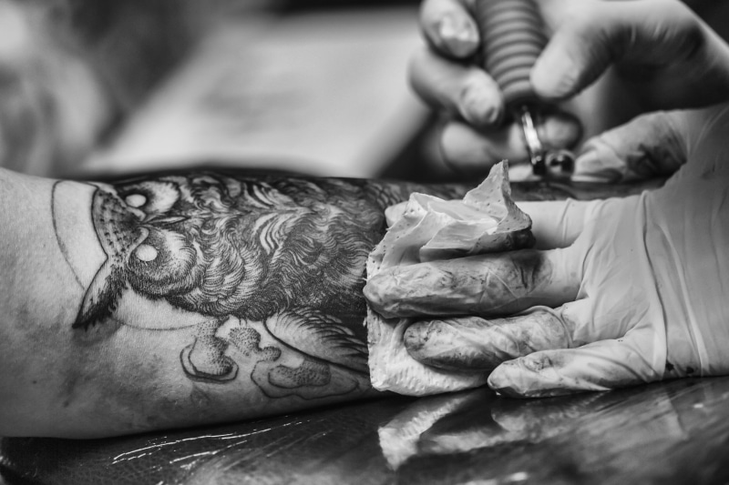 body adornment, feather, tattooing, artist, hand, creativity, wrinkled, women, people, skin, focus on foreground, human body part, lifestyles, decoration
