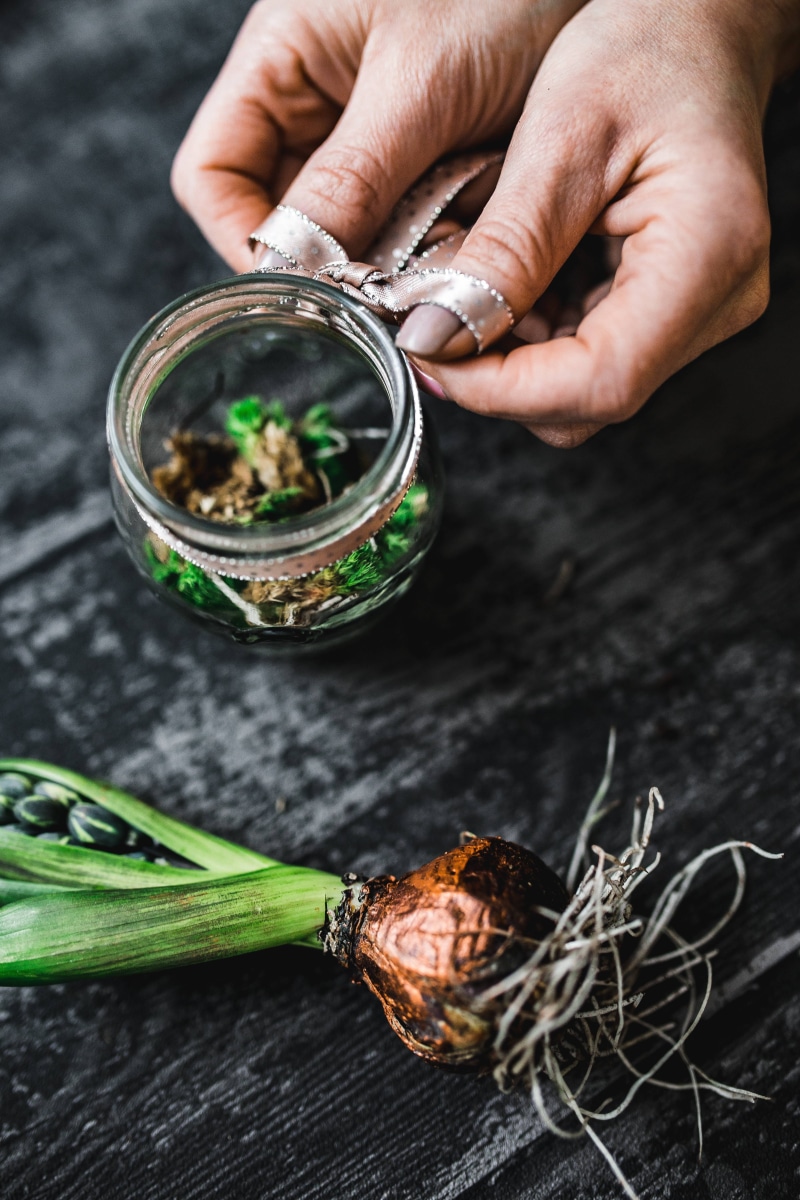 adornment, decoration, ornamental, herb, wood - Material, leaf, focus on foreground, human body part, preparation, planting, high angle view, making, Woman