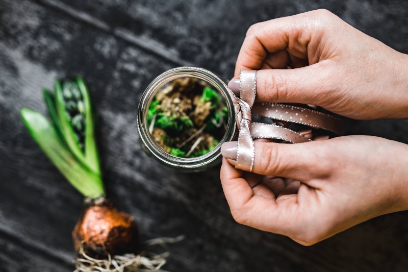 Woman, holding, finger, only women, planting, food, human body part, people, little, body part, freshness, green Color, adult, focus on foreground, adornment