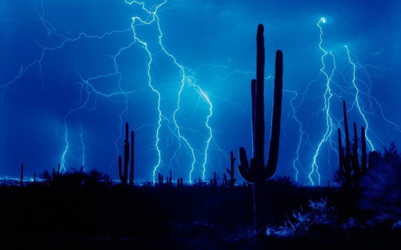 720P, beauty in nature, sky, tree, gray, thunderstorm, lightning, warning sign, power in nature, forked lightning, storm, nature, electricity, outdoors