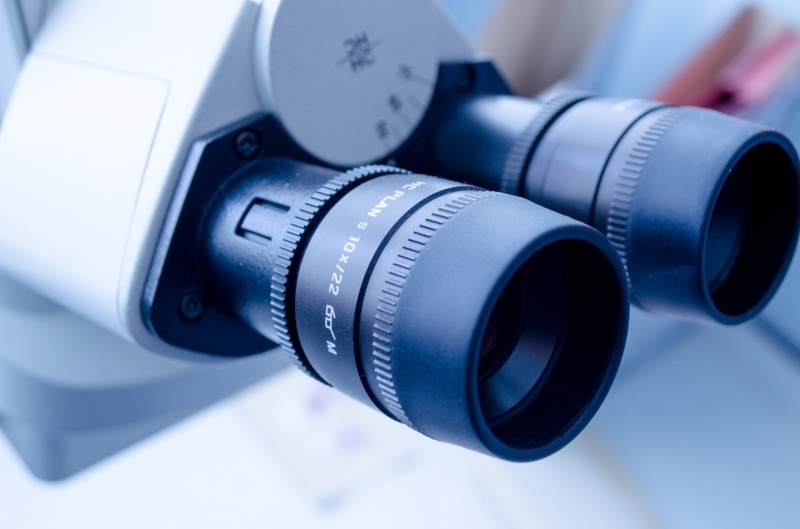 security, black, nobody, laboratory, gray, technology, biotechnology, science, looking, microscopy, white, no people, photography themes, study, tool, view