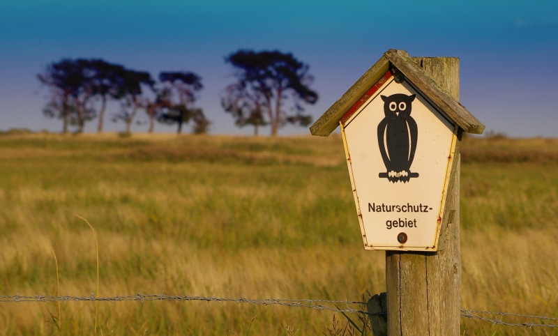 green, tree, wood - material, sky, nature, note, text, stripes, safety, animal, representation, land, 2K, logo, liebesinsel, ecology, communication, grasses