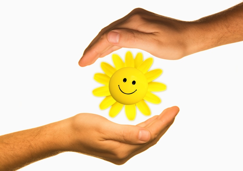 responsibility, environment, nature, protect, energy, human, sensitive, conservation, men, yellow, human Hand, flower, human finger, globe, human limb