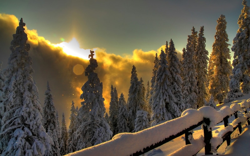 mountains, protection, 1080P, sun, wood, clouds, snow, patches of light, gleams