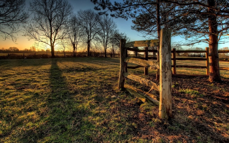 brown, woodland, park - Man Made Space, bare tree, plant, nature, fence, summer, land, green, farm, trees, scenics, sky, footpath, boards, tree, outdoors