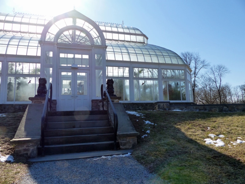 blue sky, nursery, men, staircase, jersey, sunlight, humid, farms, orchids, warmth, cold, glare, greenhouse, behind, orchid, new, bare tree, steps and staircases