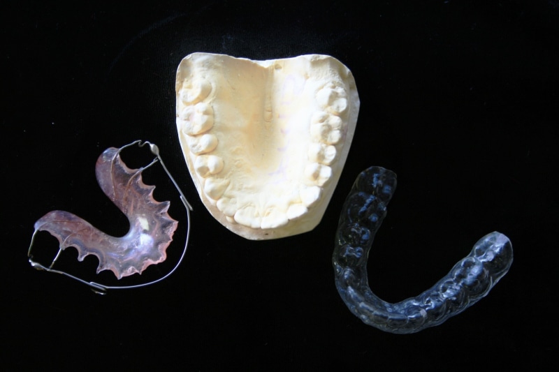 lab, toothache, dentist, doctor, animal wildlife, assorted, one animal, underwater, nature, clinic, indoors, healthcare, medicine, no people, 1080P, tool