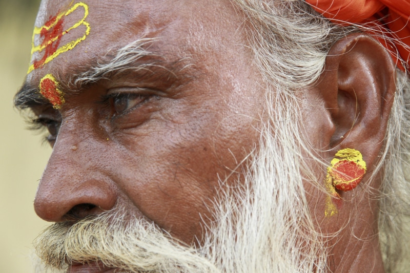one person, felines, hair, men, people, facial hair, human body, adult, india, calico cat, white hair, intestine, s, nature, close-up, profile view, lifestyles