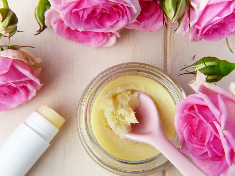 shea butter, cosmetic treatment, coconut oil, collagen, give, directly above, flower head, high angle view, self-made, skin, holiday, puberty, pink, protection